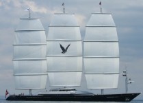 Maltese Falcon - From the Side